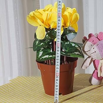 アートフラワーブーケ　ミニシクラメン　フラワー　絵　絵画　立体　立体絵画 61C1keb6gHL._UF350,350_QL50_.jpg